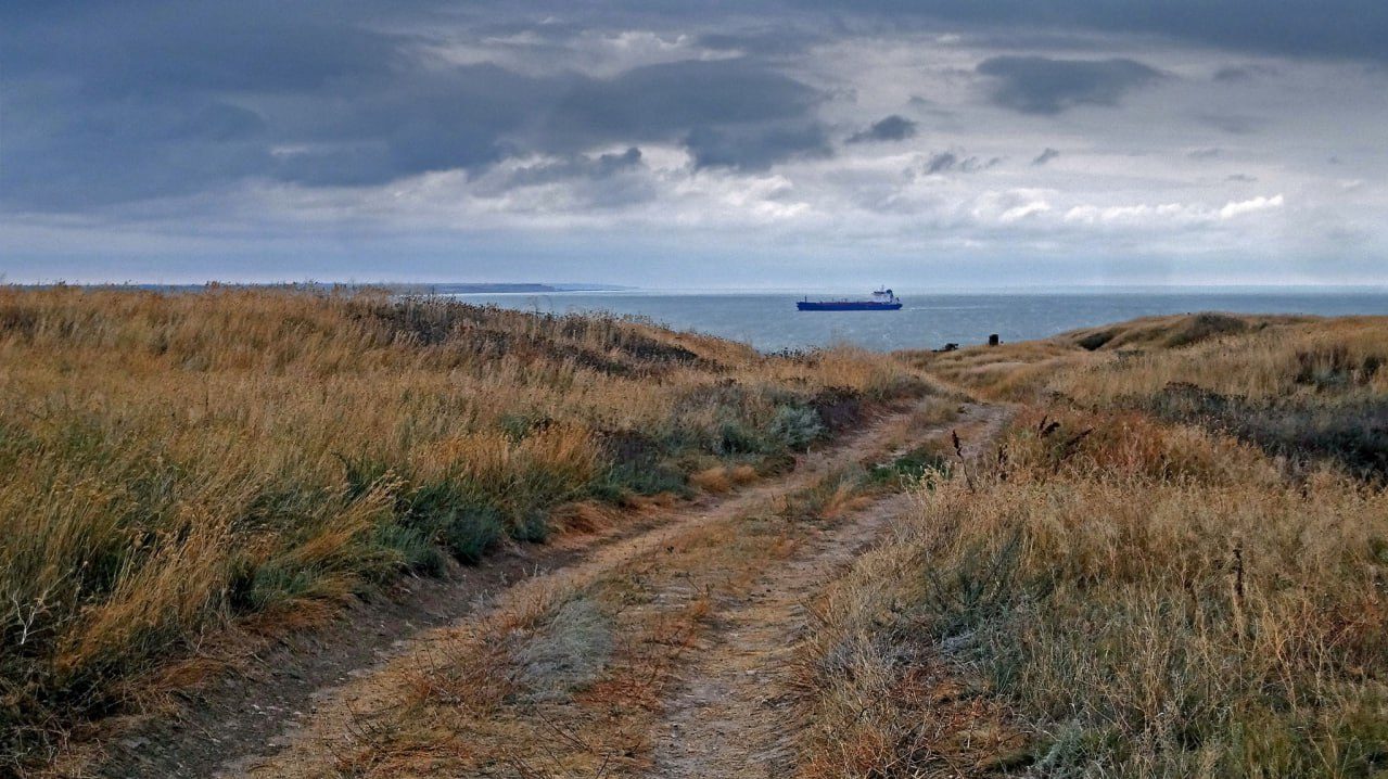 ОЛЬВИЯ БЕРЕЗАНЬ