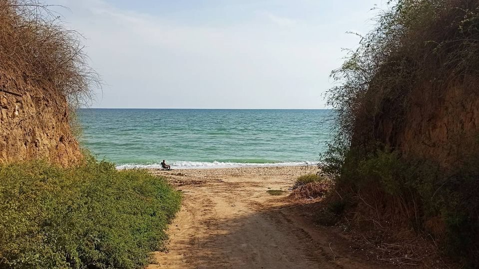 <span class="vcard">Gala</span>